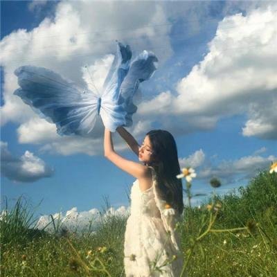 罪网海报